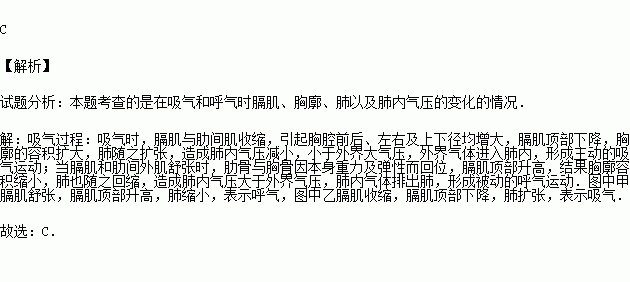 图是模拟膈肌的运动与呼吸的关系示意图下列叙述正确的是