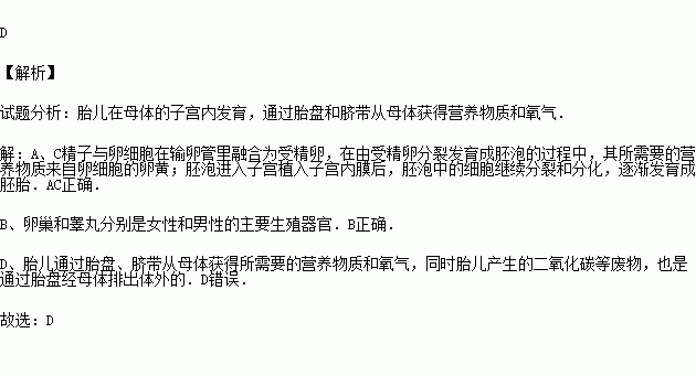 下列關於人類生殖和發育的敘述錯誤的是