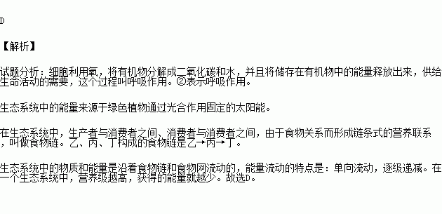 呼吸决定fine简谱_呼吸决定简谱(3)