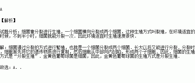 孢子生殖c.出芽生殖 d.