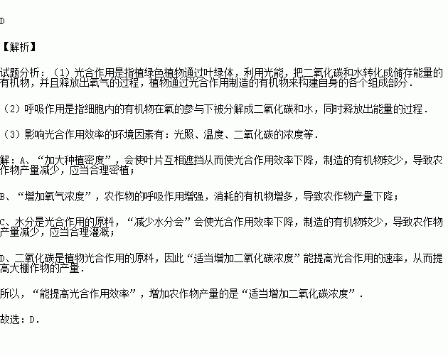 麦浪滚滚闪金光简谱_麦浪滚滚闪金光丰收歌(2)