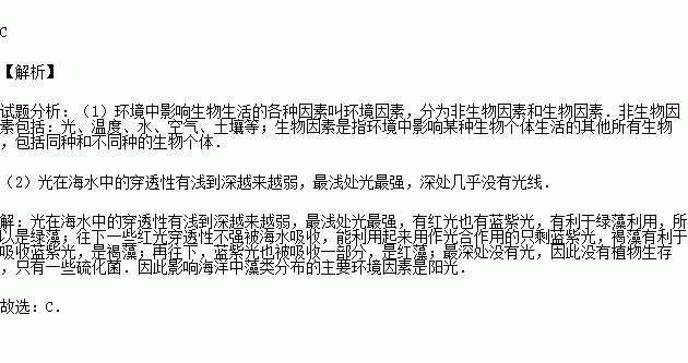 海洋中绿藻多分布在上层.褐藻在中层.红藻则分布在底层.