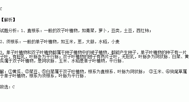 叶脉为网状脉的是( )①黄瓜 ②菜豆 ③玉米 ④狗尾草 ⑤白菜.a.