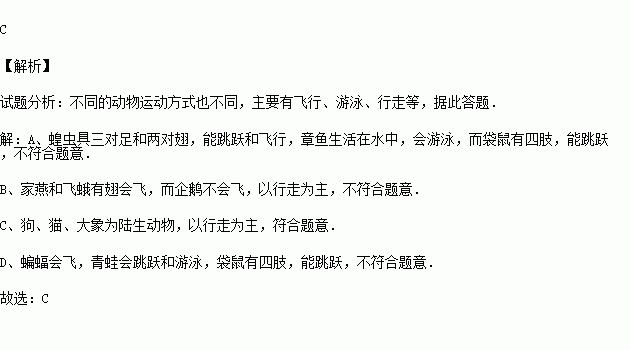 章鱼简谱_章鱼哥图片(2)