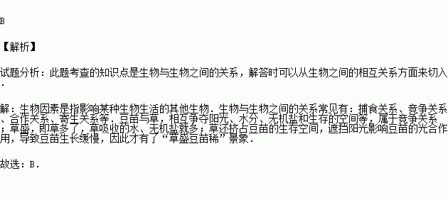 草盛豆苗稀反映的什么原理 草盛豆苗稀图片 我爱原理网