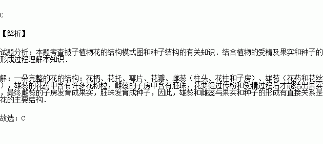 花冠简谱_谢怜花冠武神图片(3)