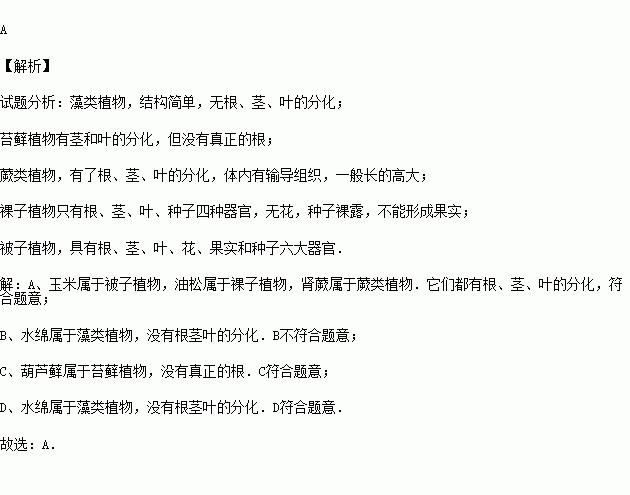 练习册系列答案年级高中课程年级初中课程相关习题