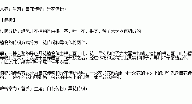 植物體的根,莖,葉稱為器官;花,果實,種子稱為器官