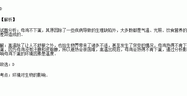 大母鸡下蛋简谱_幼儿学唱歌之大母鸡下蛋(2)