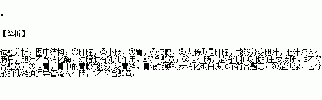 如图为人体消化系统的部分结构示意图下列叙述不正确的是