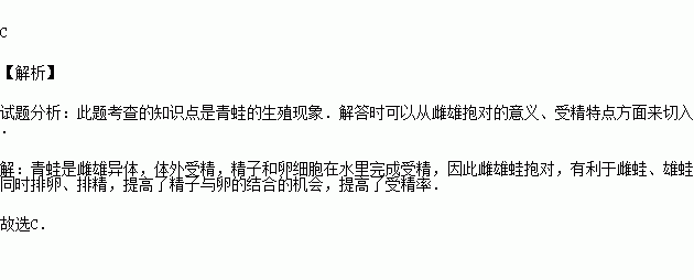 青蛙的雌雄抱对现象有利于