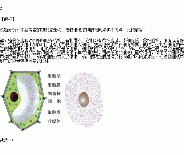 金柚是梅州著名的水果其葉肉細胞與人的口腔上皮細胞都具有的結構