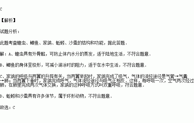 蚯蚓简谱_蚯蚓简笔画(3)