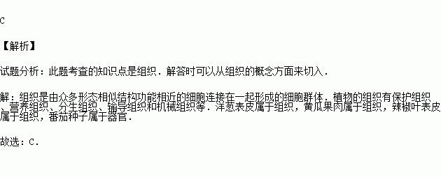 番茄種子 d.辣椒葉表皮 題目和參考答案——青夏教育精英家教網