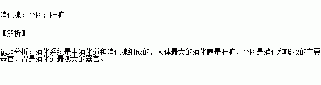 組成的,人體消化和吸收營養物質的最主要的器官是