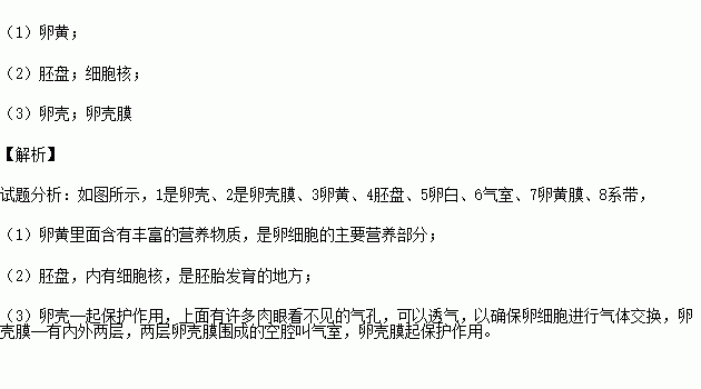 下圖是雞卵的結構圖.請據圖完成下列問題.(1) 是卵細胞的主要營養部分