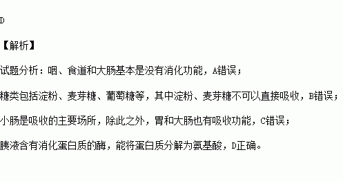 下列有关人体消化和吸收的叙述正确的是a消化道都具有消化功能 b