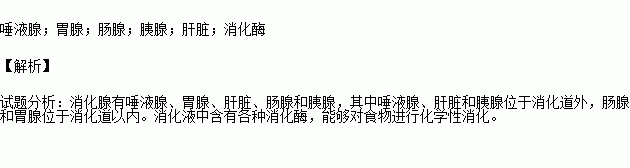 消化腺分泌的消化液中含有,能促進消化道中的食物分解.