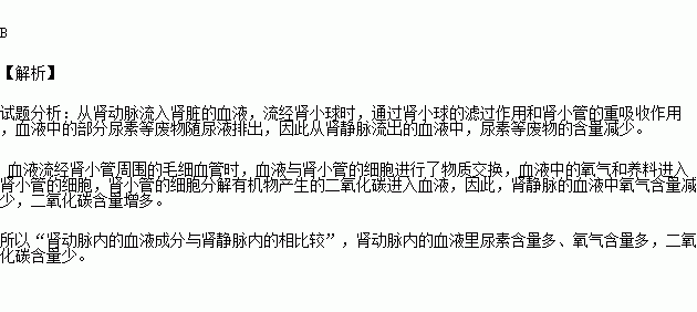 肾静脉与肾动脉内的血液成分相比较肾动脉的血液里( )a