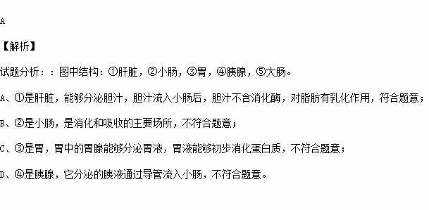 如图为人体消化系统的部分结构示意图下列叙述不正确的是