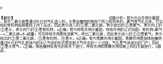 若為蒸騰作用示意圖,則②指的是水蒸氣b.