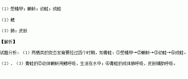 下图为青蛙的生殖发育过程图请据图回答下列问题