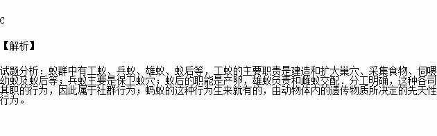 蟻群中有工蟻,兵蟻,雄蟻,蟻后等,分工明確,這種各司其職的行為從功能