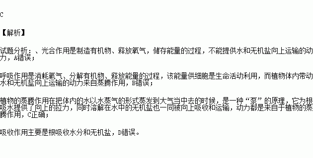 葉綠體 c.篩管 d.葉脈查看答案和解析 氣孔的開