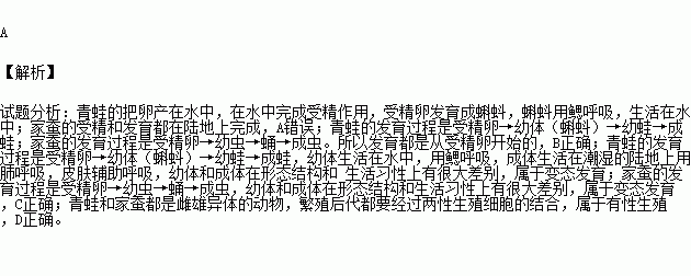 它們都在水中完成發育 b.發育都是從受精卵開始的c.