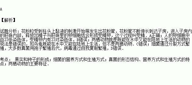 花粉管中的精子與胚珠中的卵細胞結合形成受精卵b.