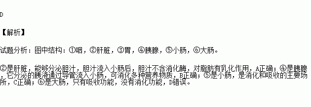 如图为人体消化系统的部分结构示意图下列叙述不正确的是