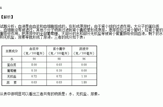 正常情况下,血浆,原尿和尿液中都能检测到的物质是)