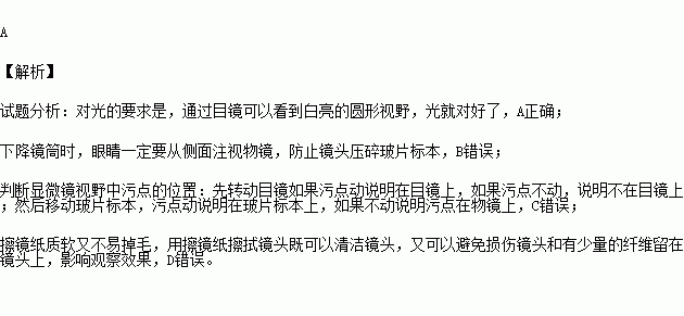 污点简谱_污点的情侣头像