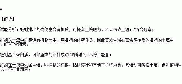 蚯蚓的简谱_蚯蚓卡通图片