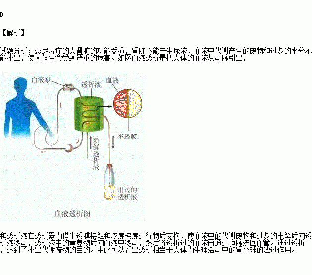 人口中的唾液是一直分泌的吗_唾液分泌图片(2)