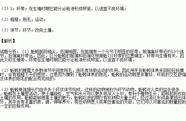 蚯蚓简谱_蚯蚓简笔画(2)