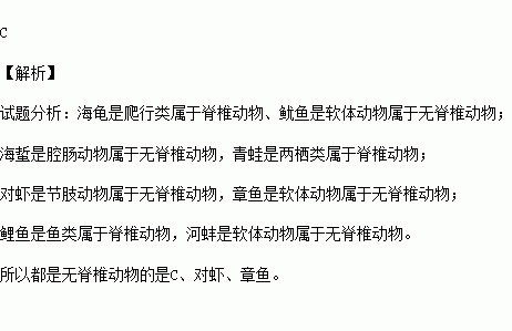 八爪鱼简谱(3)