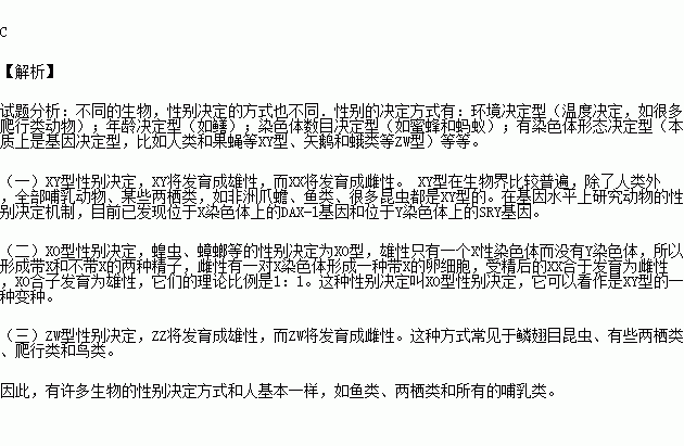 决定人口的性别的时期是_性指数决定性别