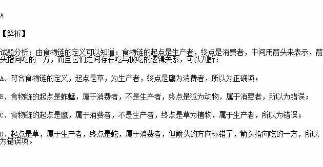 蚂蚱简谱_捉蚂蚱(3)