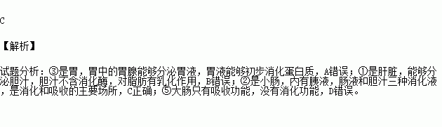 下列叙述正确的是a③是胃,能将蛋白质初步分解成氨基酸b