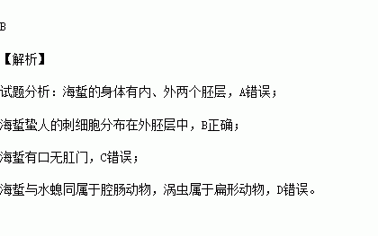 水母简谱_水母之歌简谱(3)