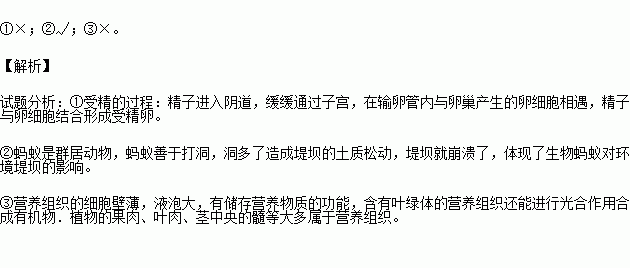 导可以组什么成语_成语故事图片(2)