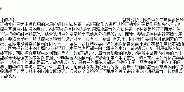 塑料袋简谱_塑料袋简笔画(3)