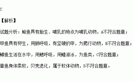 章鱼简谱_章鱼哥图片(2)