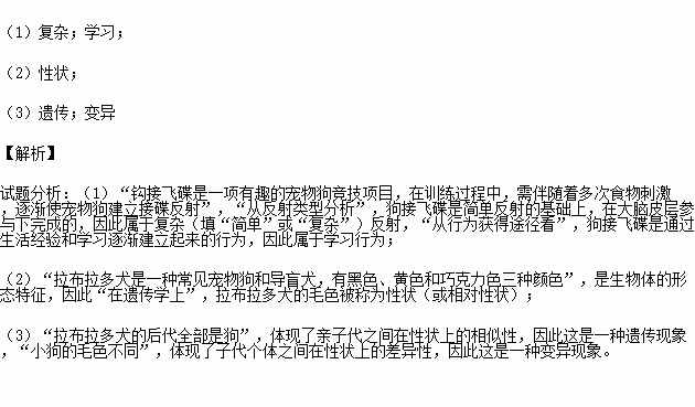 UFO简谱_儿歌简谱
