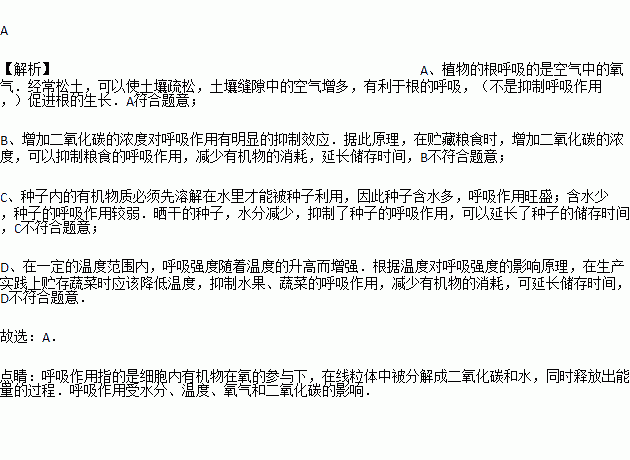 下列措施不能抑制植物呼吸作用的是( )A. 小麦耕种前要耕田松土B. 向贮藏粮食的密封粮仓内充加二氧化碳C. 玉米种子在入仓前要晒干D. 水果 ...