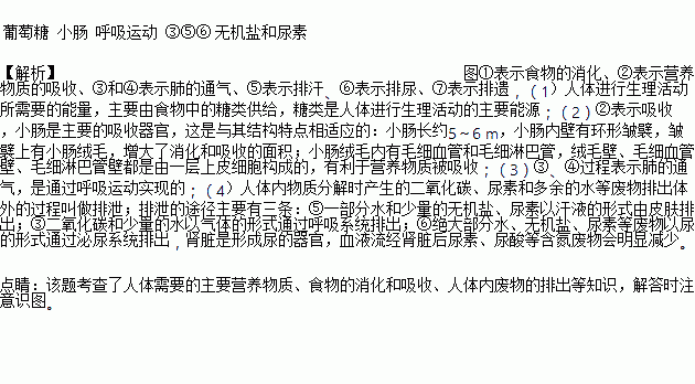 三段体曲谱_音乐三段体曲式结构图(3)