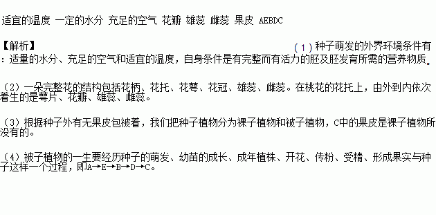 离离原上草简谱_离离原上草