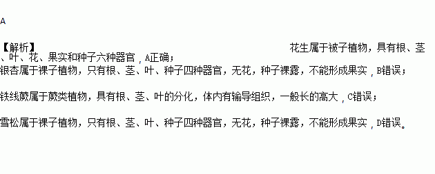 叶.花.果实.种子六种器官组成的是 ( )a. 花生 b. 银杏 c. 铁线蕨 d.