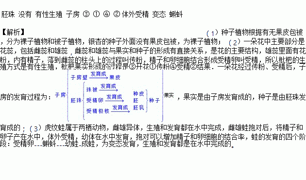 以东山西山为中心盛产柑橘青梅银杏批把杨